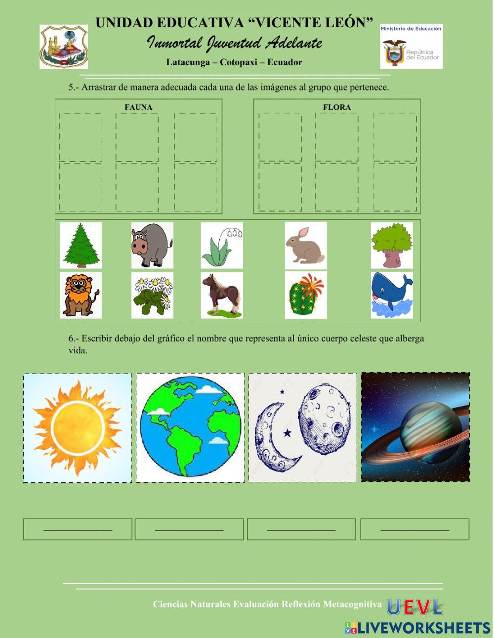 Evaluación Metacognitiva Ciencias Naturales