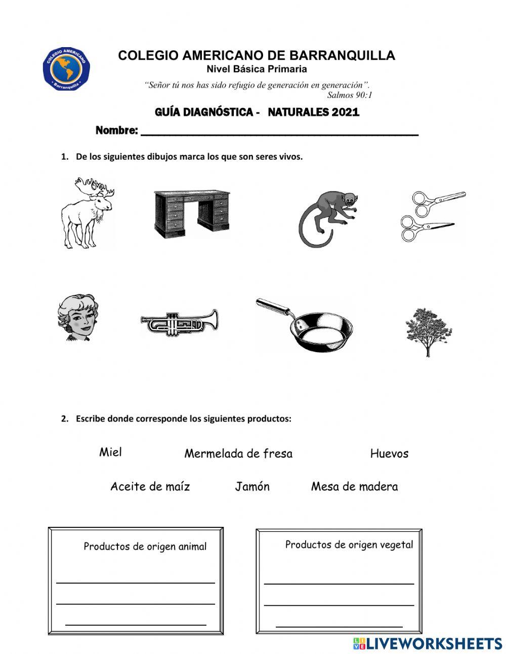 Ficha diagnóstica de naturales. 