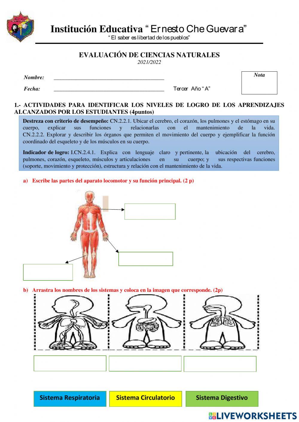 Evaluacion de ciencias naturales