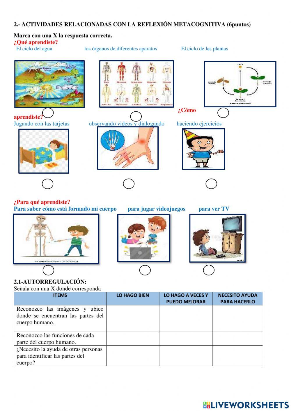 Evaluacion de ciencias naturales