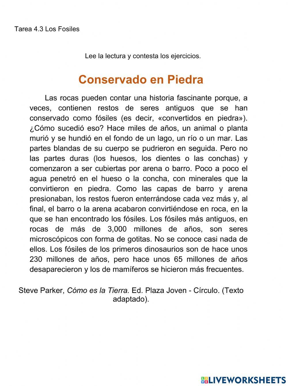 Los fosiles Los fosiles