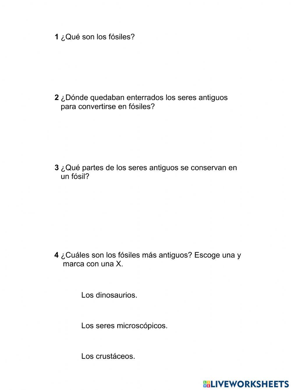 Los fosiles Los fosiles