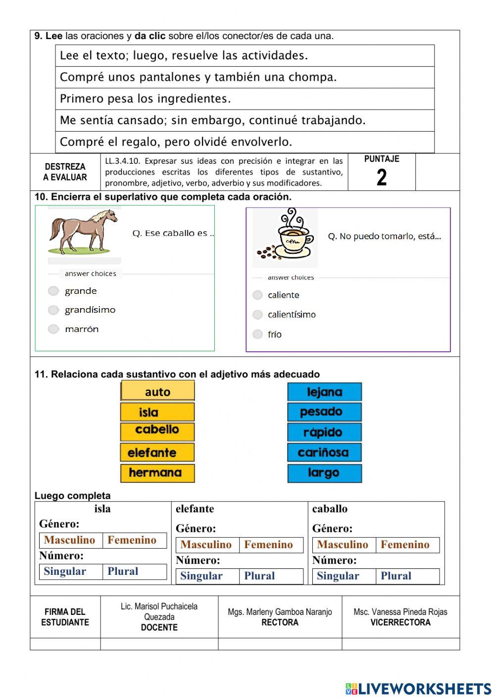 Evaluación quimestral Lengua