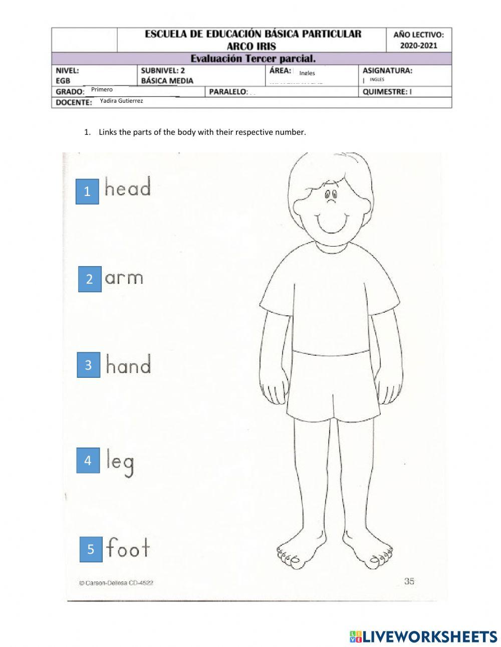 English Exam Online Exercise For Live Worksheets english-exam-online-exercise-for-live-worksheets