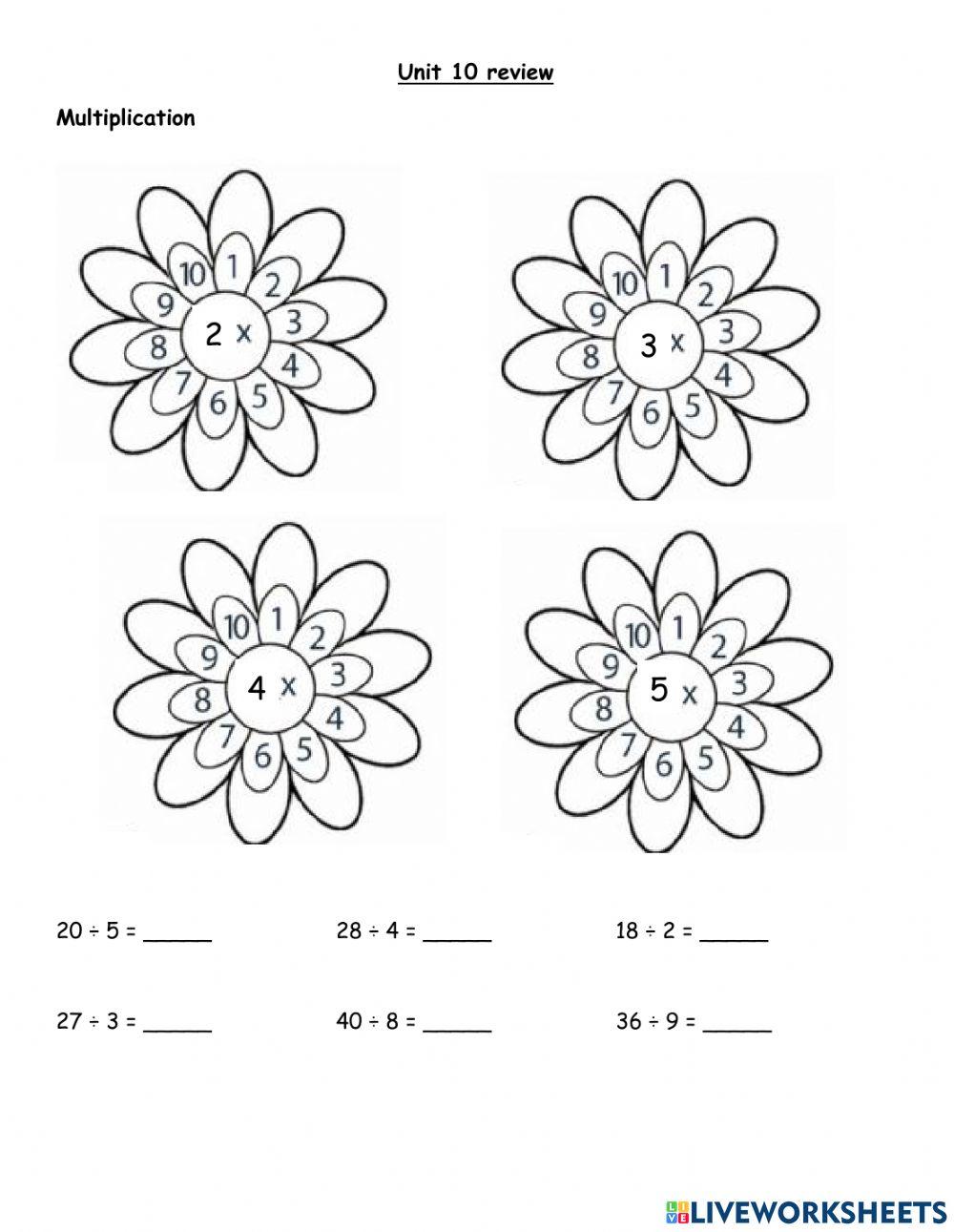 Multiplication Practice