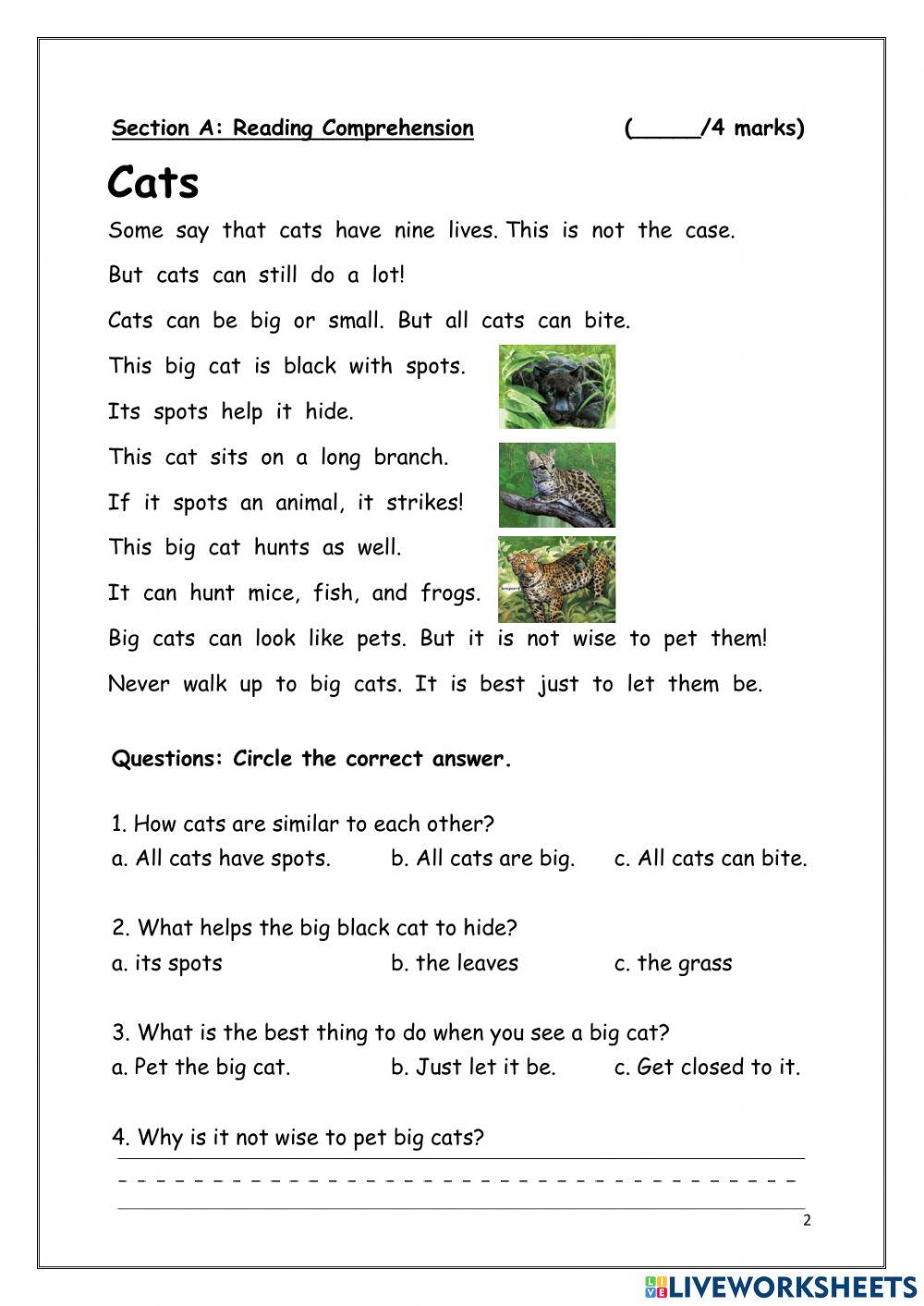 English Mini Quiz Version 2