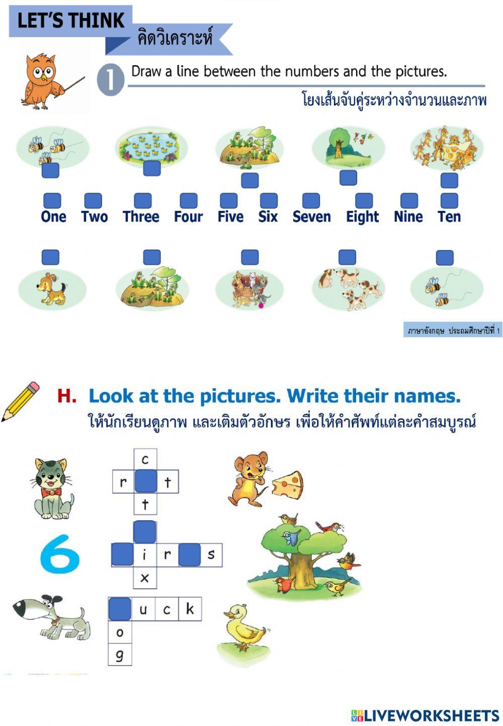 ใบงาน 28-1-65 พิเศษ