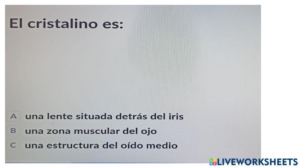 Funciones vitales seres humanos