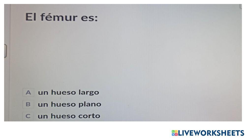 Funciones vitales seres humanos