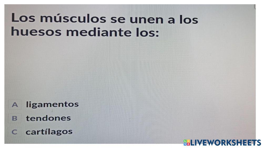 Funciones vitales seres humanos