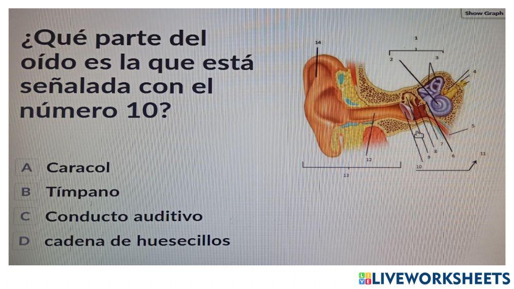 Funciones vitales seres humanos