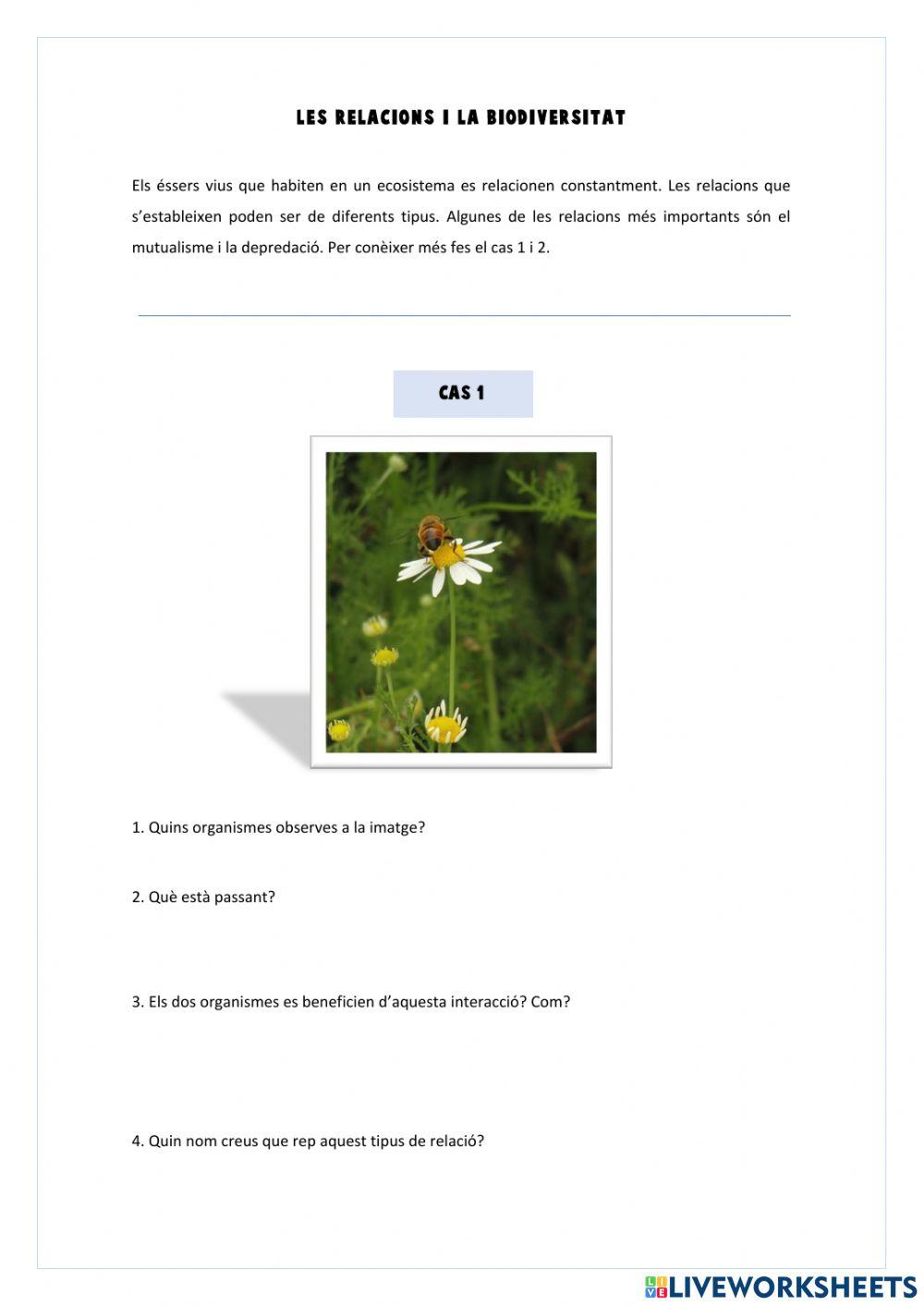 La biodiversitat i les relacions