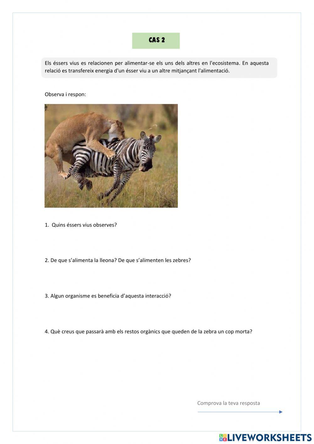 La biodiversitat i les relacions