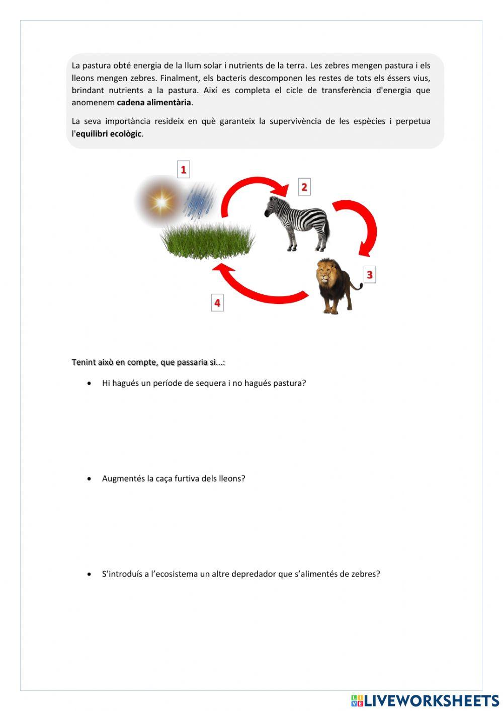 La biodiversitat i les relacions