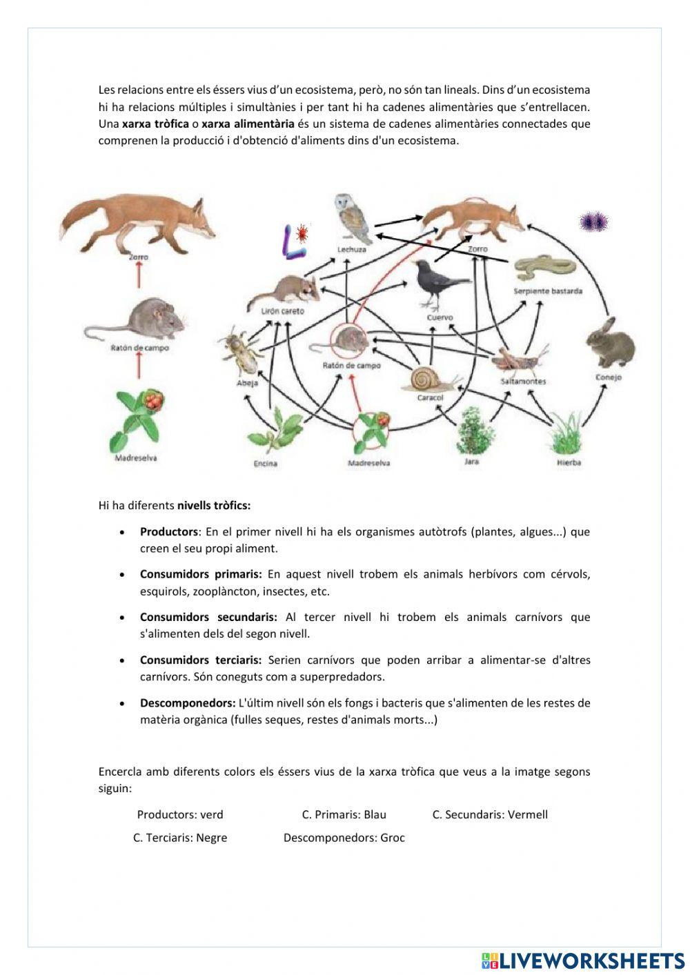 La biodiversitat i les relacions