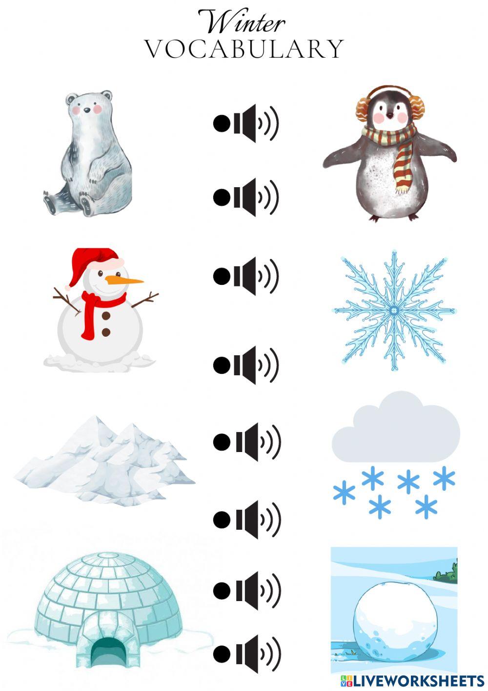 Winter Vocabulary - Zimowe słownictwo worksheet | Live Worksheets