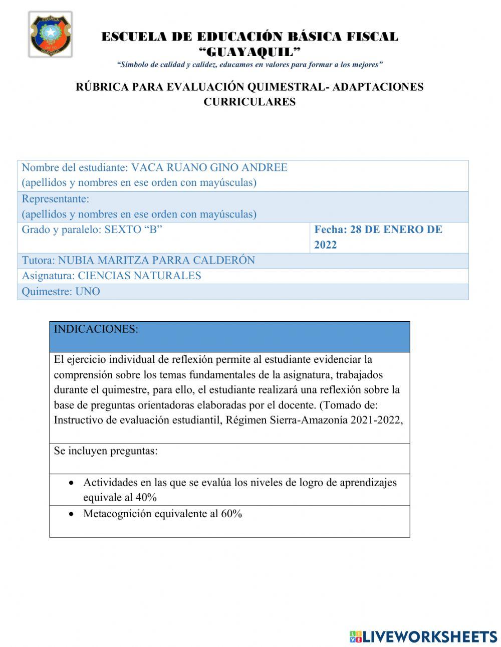 Examen quimestral nee