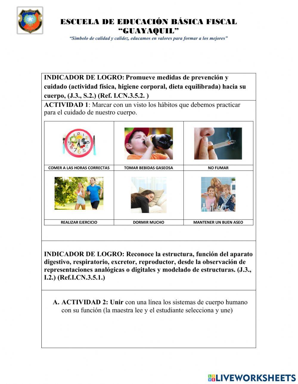 Examen quimestral nee