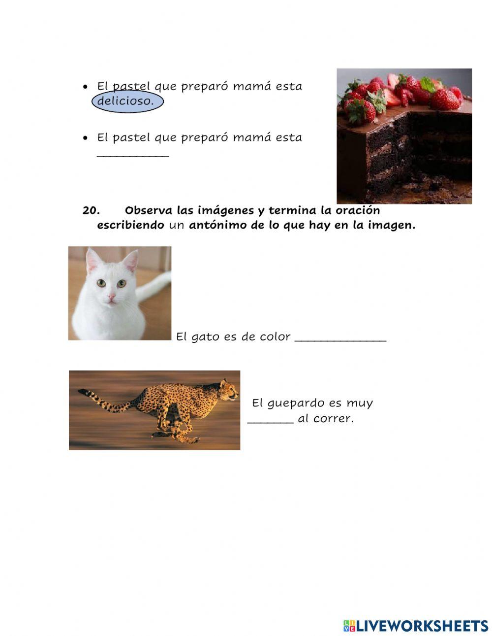 Examen Español Enero