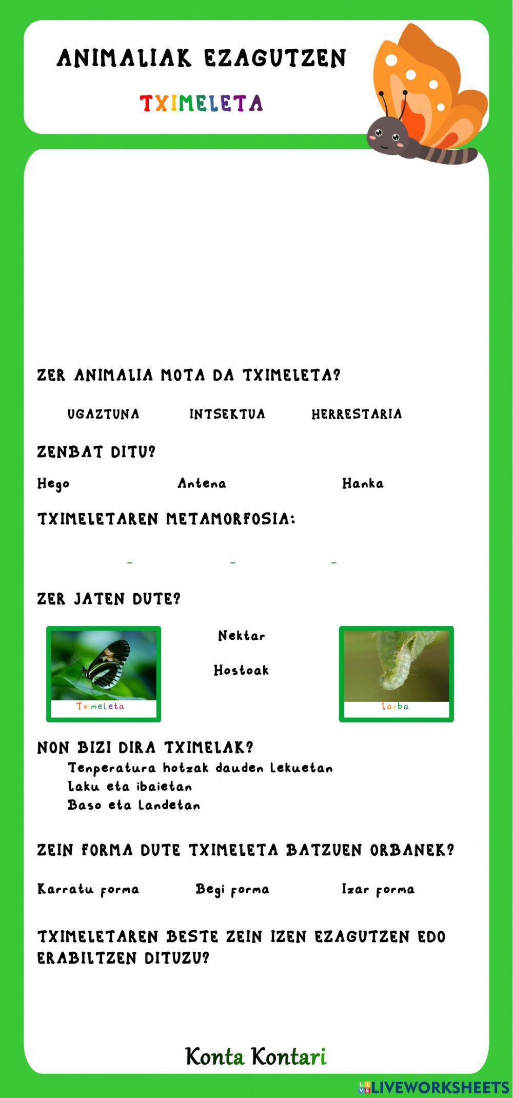 Tximeleta: Animaliak Ezagutzen (Bideoarekin)