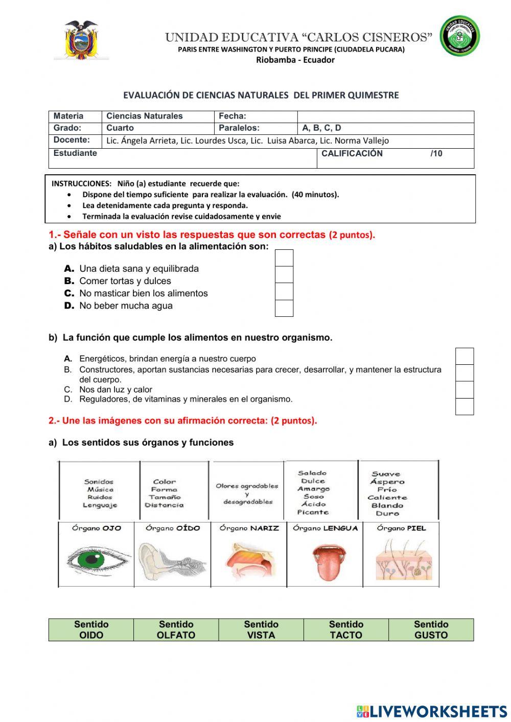 Evaluacion cognitiva ccnn