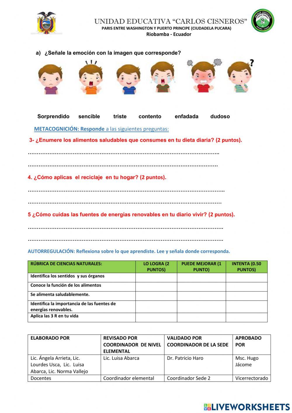 Evaluacion cognitiva ccnn