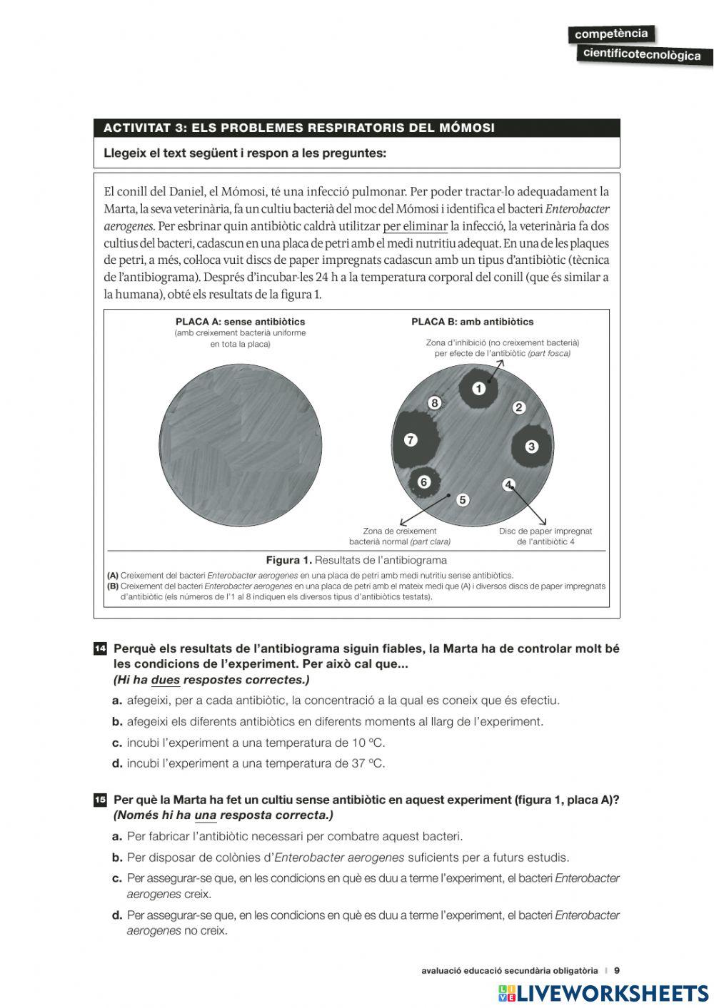 Competencia cientifico tecnologica 2017-A