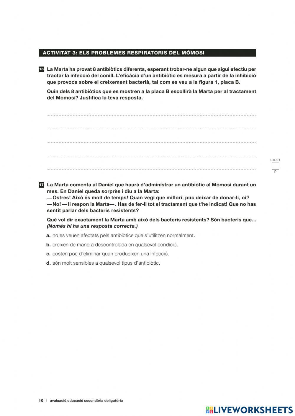 Competencies basiques 2017-b