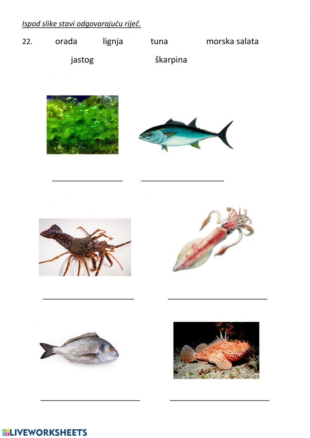 Vode i more u zavičaju provjera