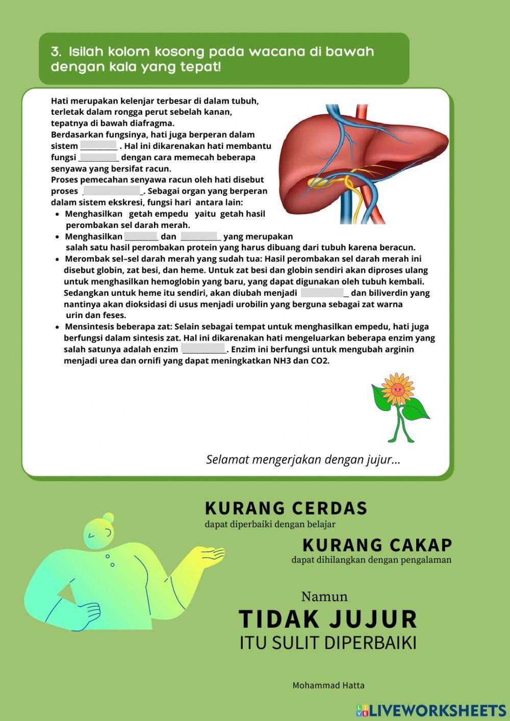 LKPD Sistem Eksresi Manusia