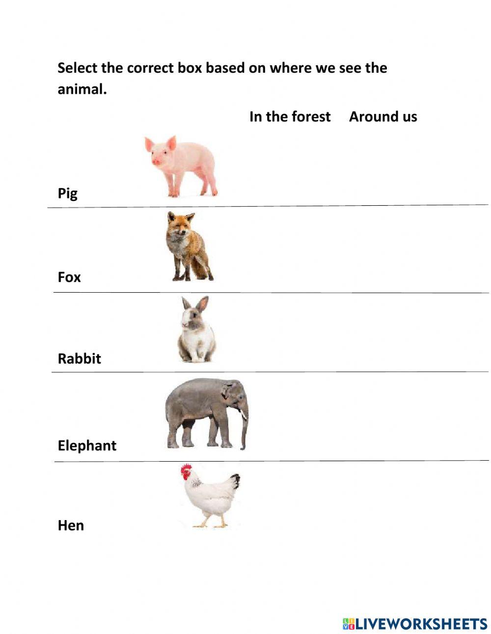 Animals