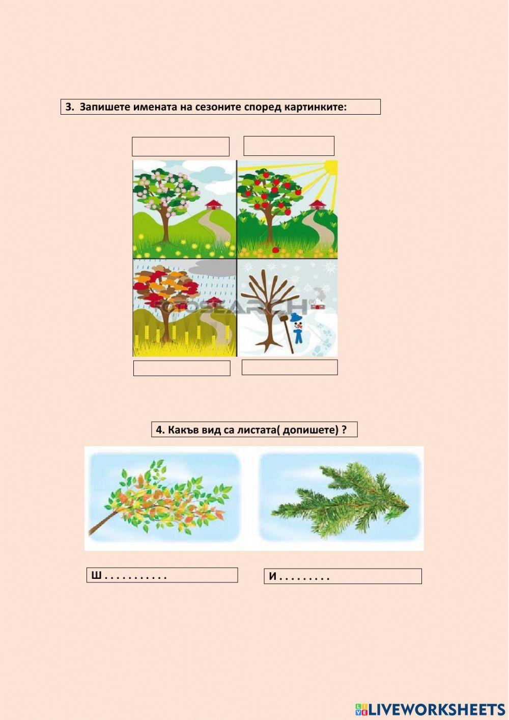 ОКОЛЕН СВЯТ ЗА 2 КЛАС worksheet | Live Worksheets