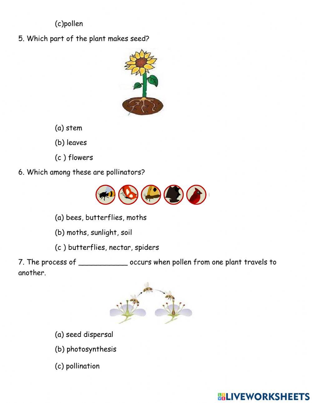 Plants depend on animals review online exercise for live worksheets