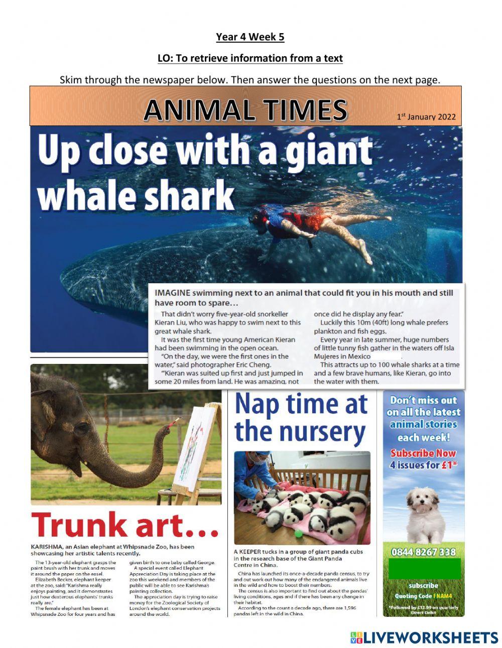 (HA) Y4 English Week 5 Lesson 1&2