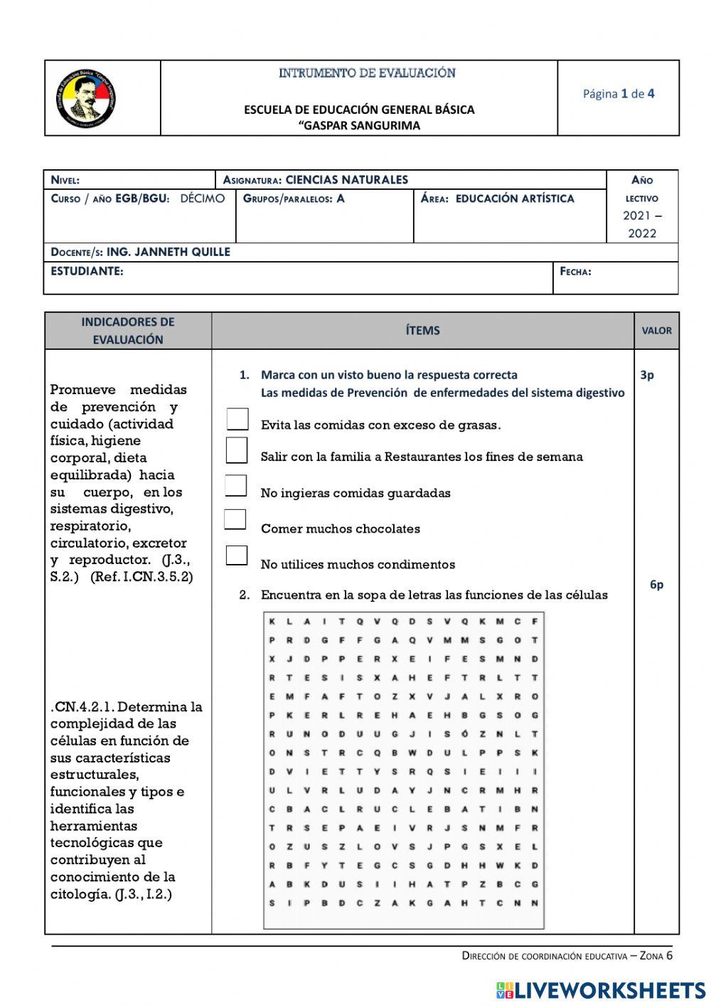 Instrumentos de evalución de décimo del primer quimestre