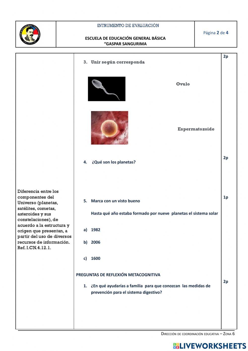 Instrumentos de evalución de décimo del primer quimestre