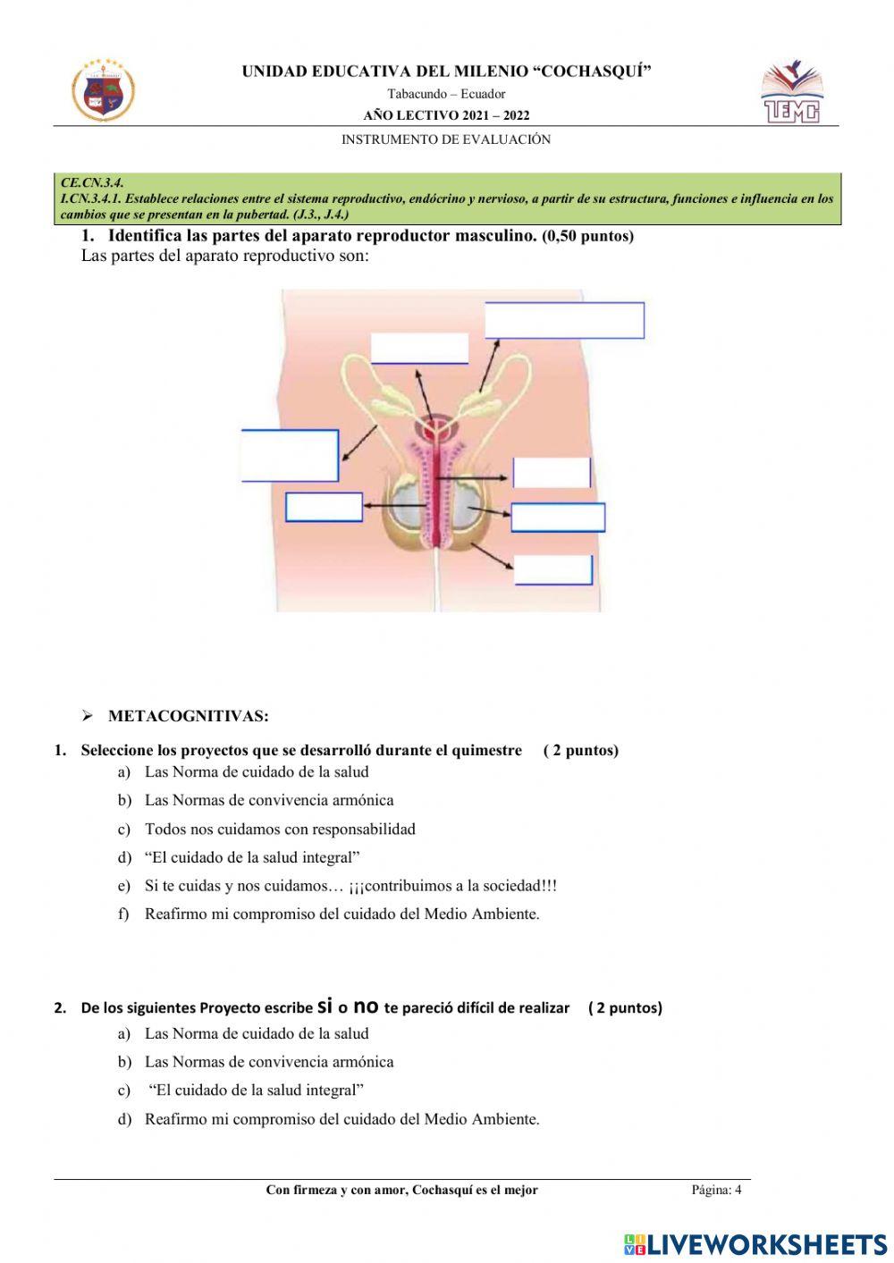 Examen de ciencias naturales 7mo