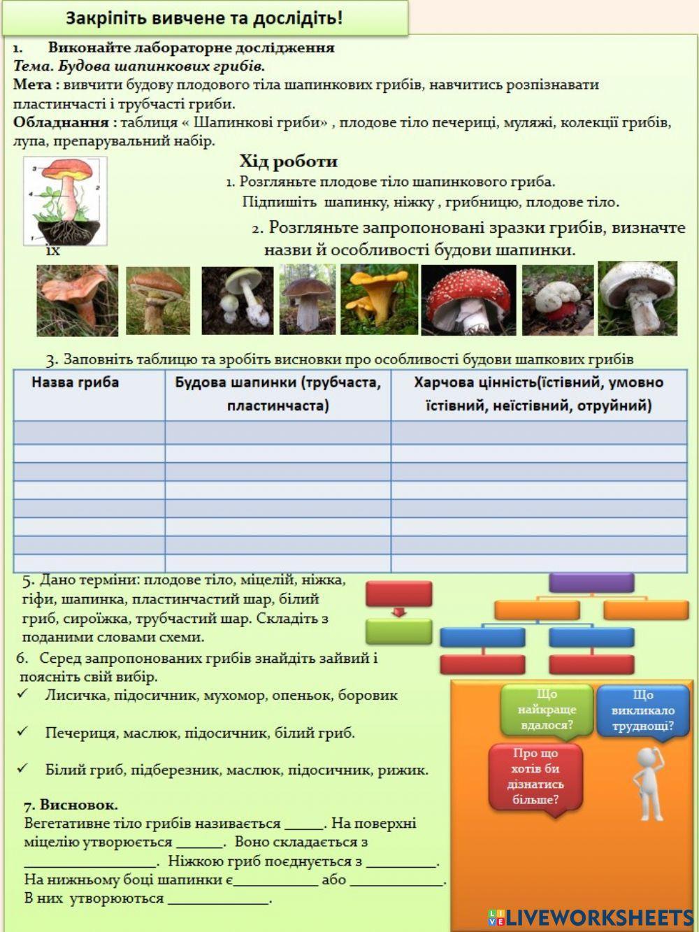Шапинкові гриби worksheet | Live Worksheets