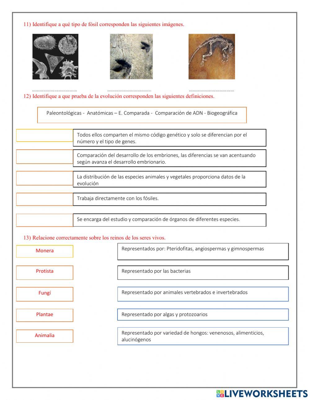 Evaluacion de biologia 1ero bgu