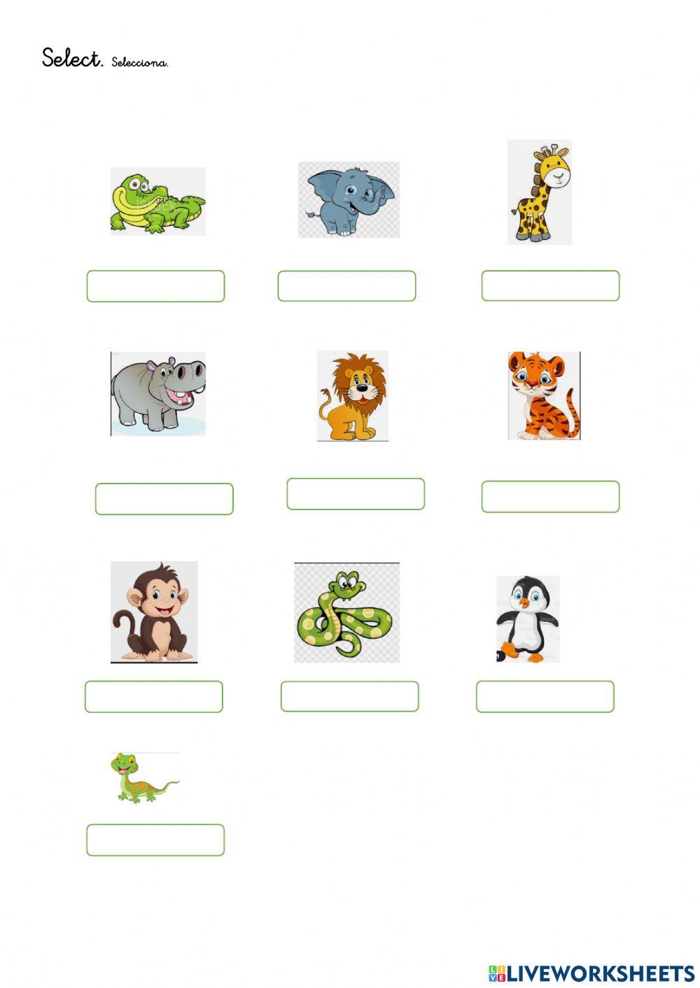 repaso tema 3 inglés 2º ep