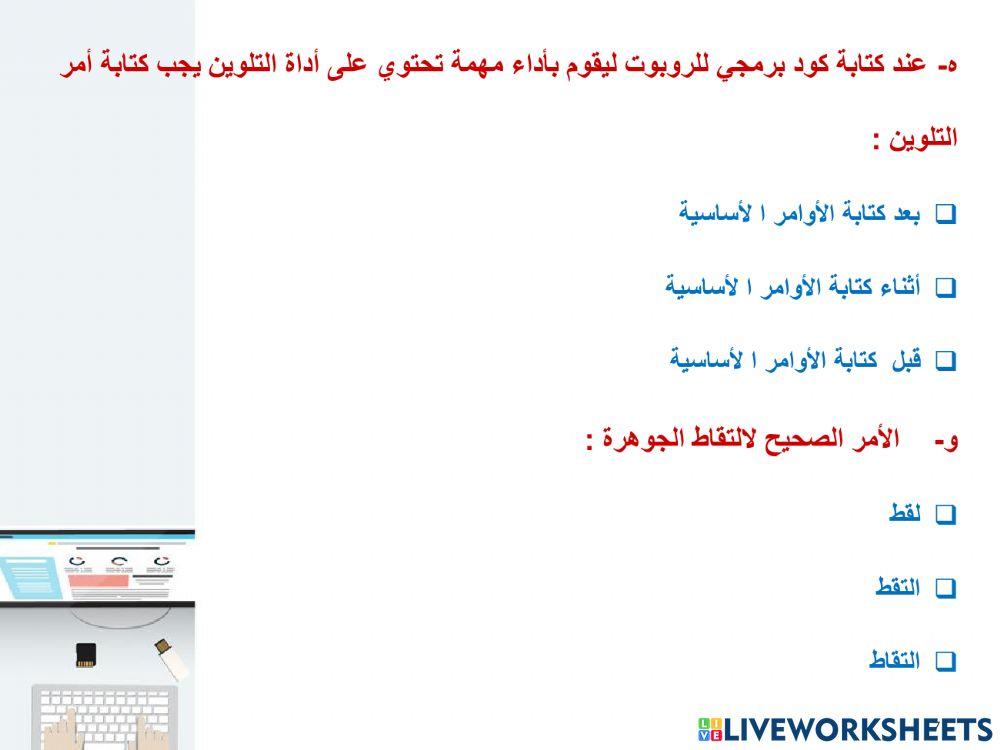  المهمة النهائية لبرنامج الروبومايند