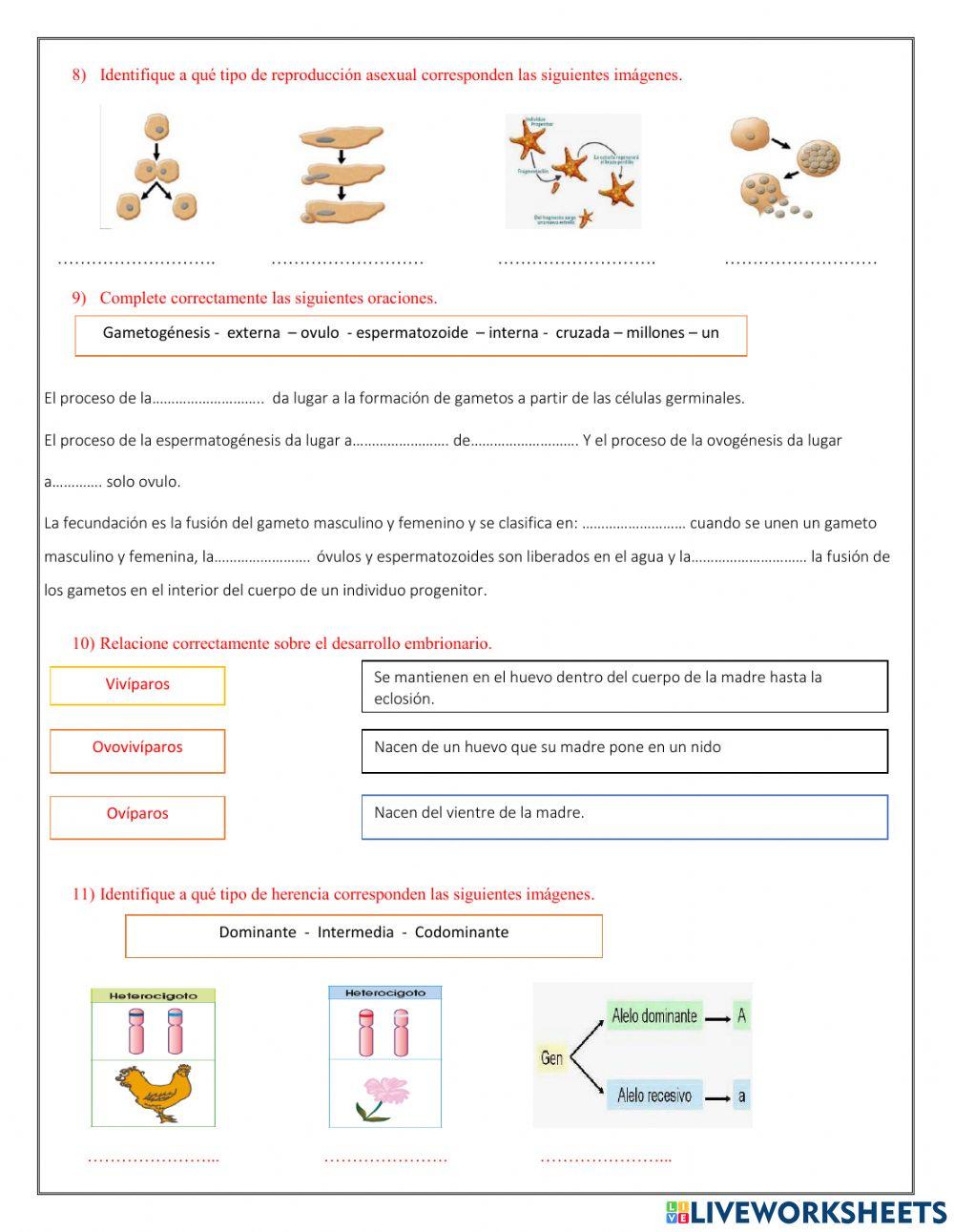 Evaluacion de biologia 2do bgu