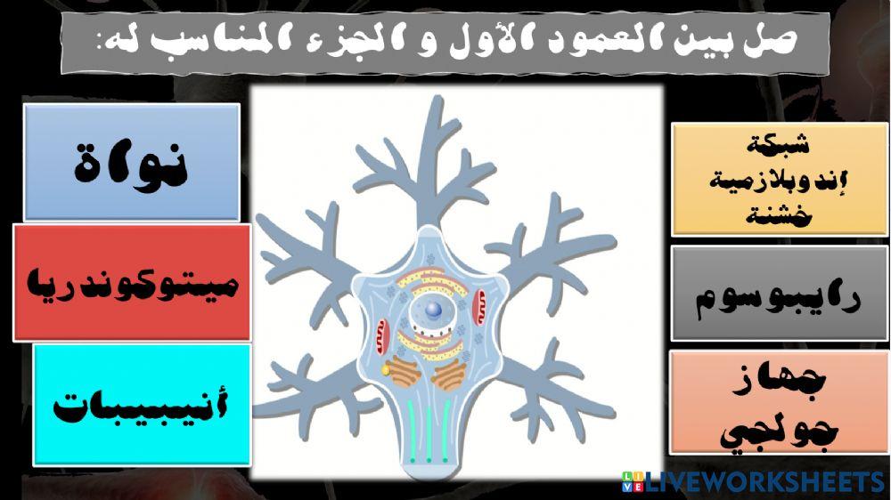 غلق الهدف الثاني