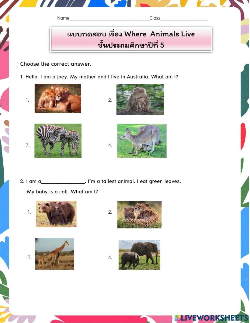 แบบทดสอบเรื่อง Where Animals Live