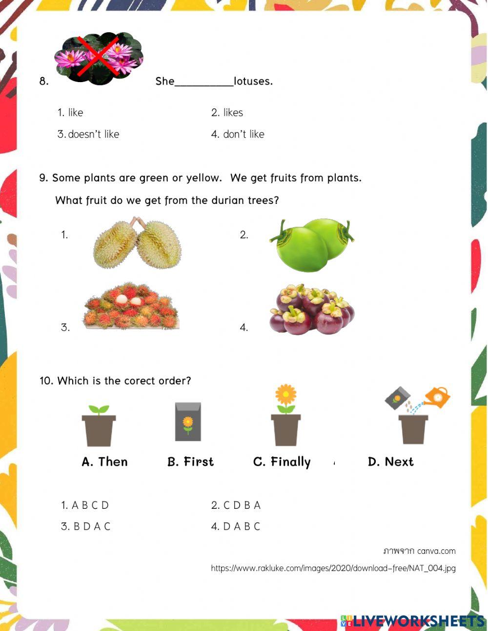 แบบทดสอบเรื่อง Trees and Flowers