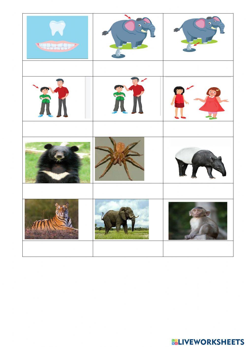 Theme 3. grade 4. words.