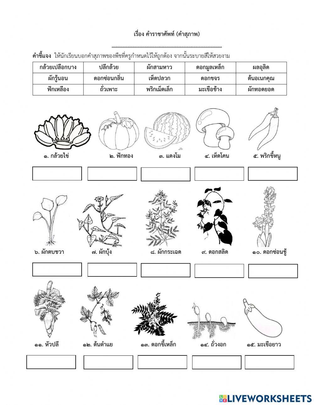 ภาษาไทย คำสุภาพ