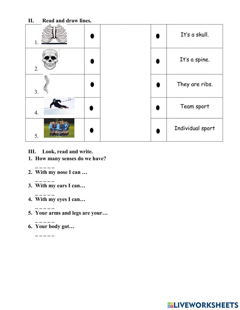 Digestive system grade 2