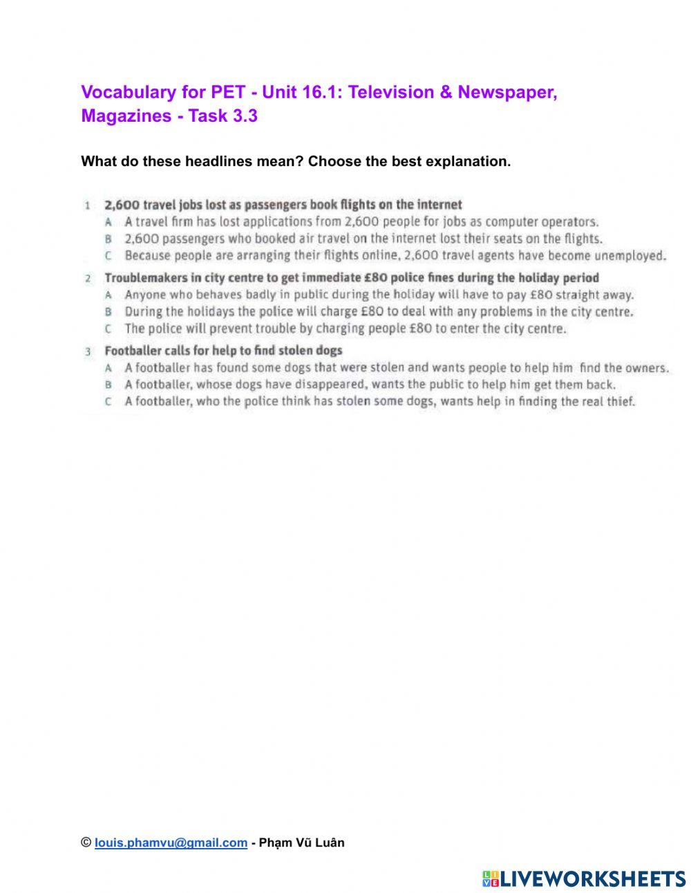 Vocabulary for pet unit 16 1 television newspaper magazines