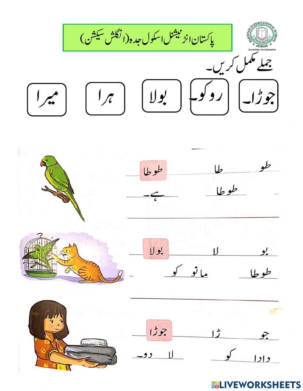 جملے مکمل کریں۔